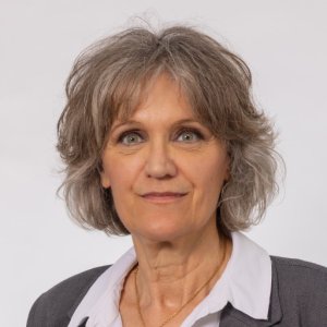 Mme Maryse Castres